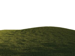 Grass Background