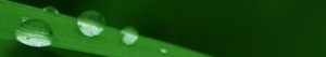 water-droplets-banner