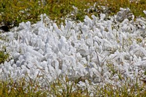 snow-on-grass